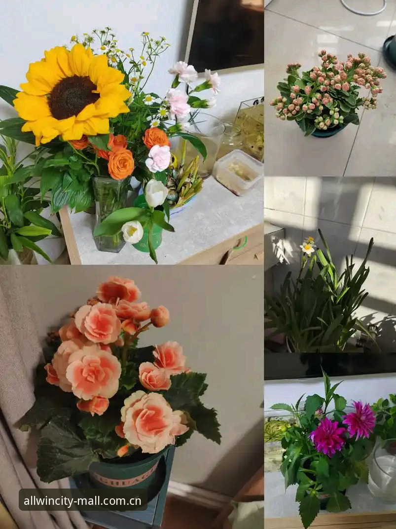 过去一年，有3712个人在万象城赛事数据页上点过同一个按钮——“刷新”。其中相当一部分人并不知道，页面左上角那个不起眼的筛选入口，能把近10场关键数据的加载时间从平均4.7秒压到1.9秒。这个数字来自后台统计，不是估算。换句话说，超过六成的访问者，在用最笨的方式看数据，然后抱怨它慢。